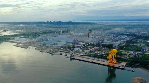 Mayoritas Investasi Kek Arun Difokuskan Ke Industri Ramah Lingkungan