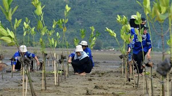 Dokumentasi Penanaman Mangrove Massal Di Pesisir Aceh