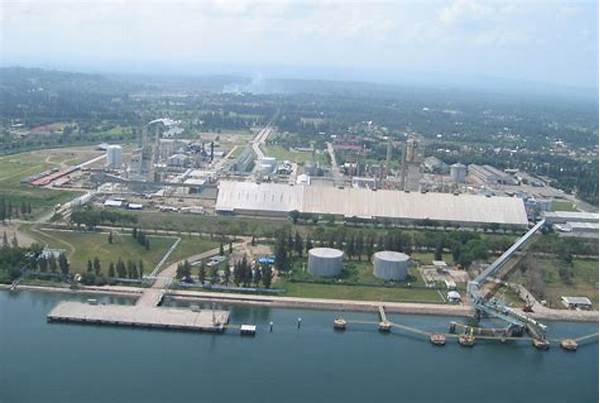 Industri Pupuk Iskandar Muda Perluas Jaringan Distribusi Ke Asia Tenggara