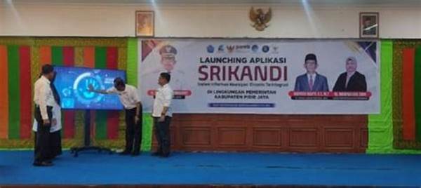 Pidie Jaya Luncurkan Program Desa Digital Untuk Genjot Ekonomi Lokal