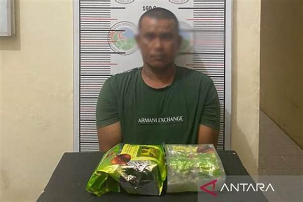 Analisis Mendalam: Skandal Narkoba 135 Kg Di Lhokseumawe, Siapa Dalang Di Balik Jaringan Internasional Ini?