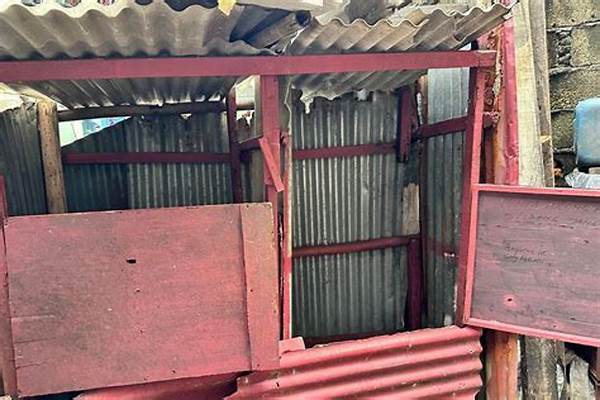 Ironi Jakarta! Warga Gang Kelinci Kemanggisan Masih Buang Air Besar Di Kali, Masalah Sanitasi Kronis!