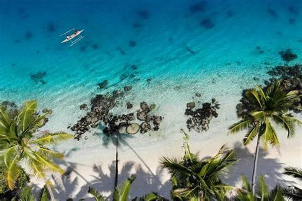 Lingkungan! Indonesia Jadi Model Global Pengembangan Teknologi Konservasi Laut, Dunia Mengapresiasi!